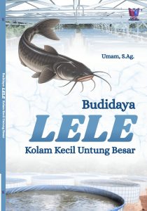 Budidaya Lele: Kolam Kecil Untung Besar